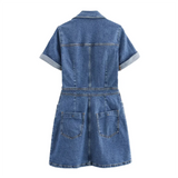 Daria | Denim Dress 