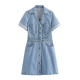 Daria | Denim Dress 