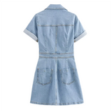 Daria | Denim Dress 
